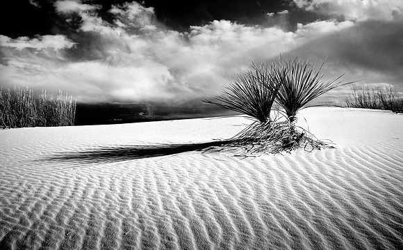 White Sands National Monument, New Mexico