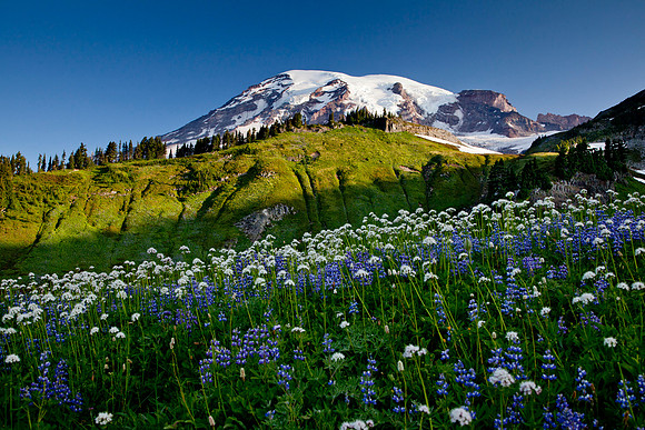 Mount Rainier National Park, Washington