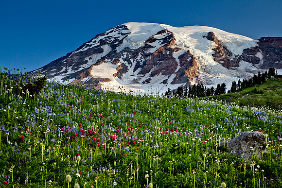 Mount Rainier National Park, Washington