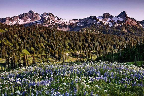 Mount Rainier National Park, Washington