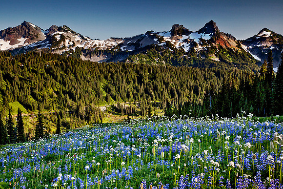 Mount Rainier National Park, Washington
