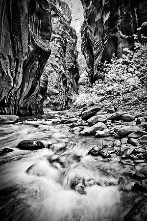 Virgin River, Zion National Park, Utah