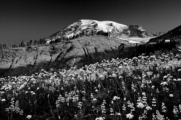 Mount Rainier National Park, Washington