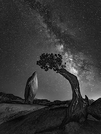 Joshua Tree National Park, California