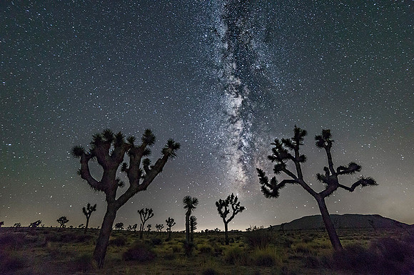 Joshua Tree National Park, California