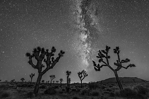 Joshua Tree National Park, California