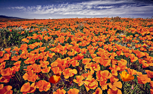 Antelope Valley, California