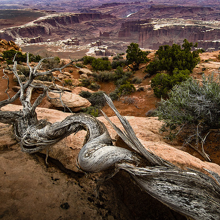 Canyonlands National Park, Utah