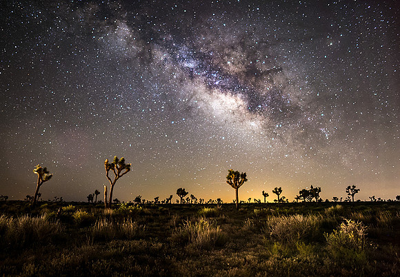 Joshua Tree National Park, California