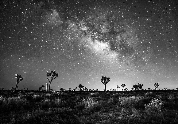 Joshua Tree National Park, California