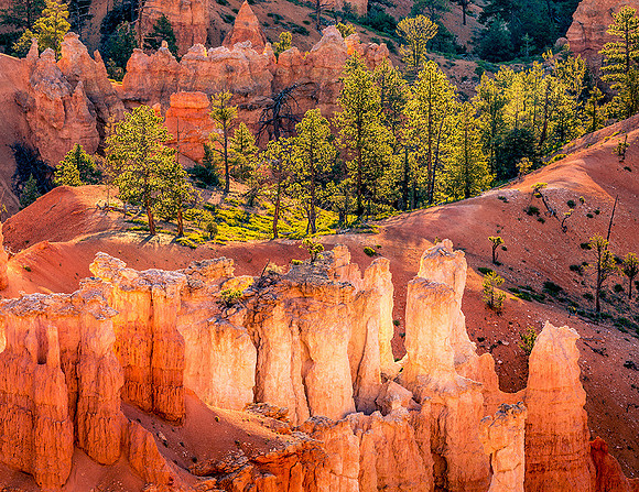 Bryce Canyon National Park, Utah