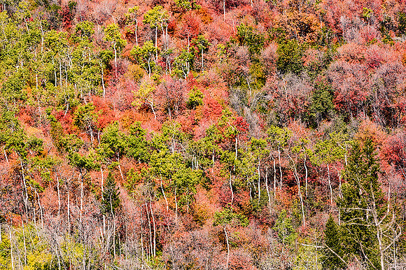 Wasatch Mountains, Utah