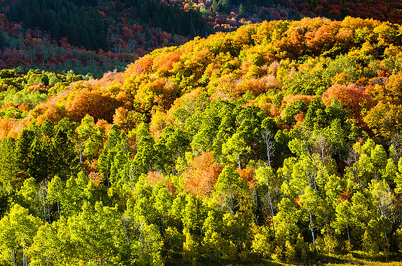 Wasatch Mountains, Utah