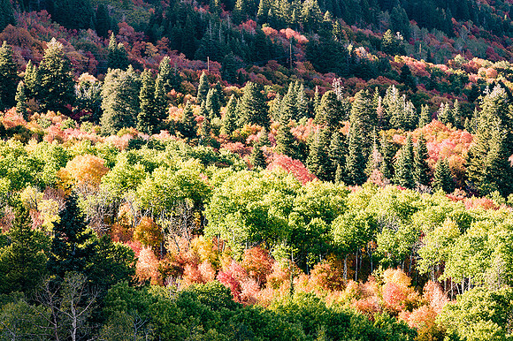 Wasatch Mountains, Utah