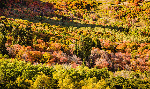 Wasatch Mountains, Utah
