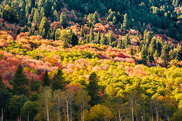 Wasatch Mountains, Utah