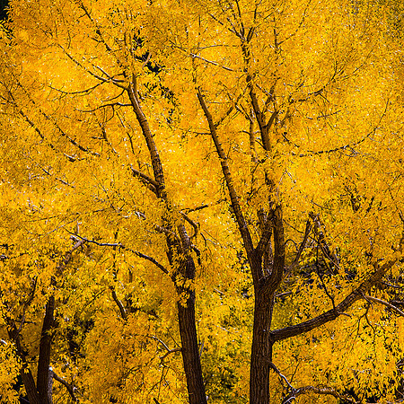 Wasatch Mountains, Utah