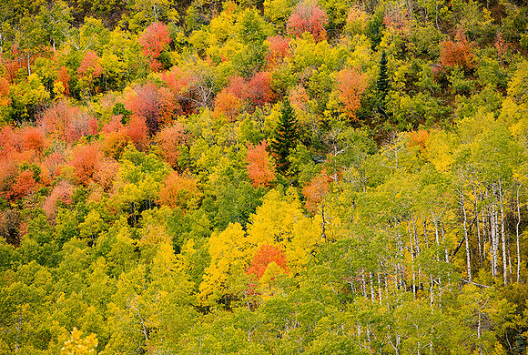 Wasatch Mountains, Utah