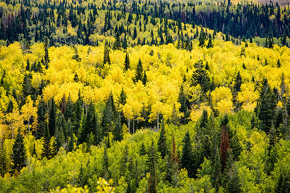 Wasatch Mountains, Utah