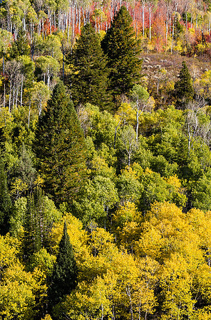 Wasatch Mountains, Utah