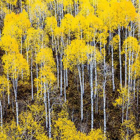 Wasatch Mountains, Utah