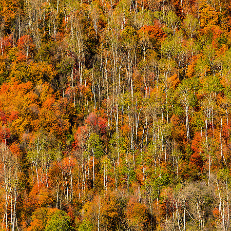 Wasatch Mountains, Utah
