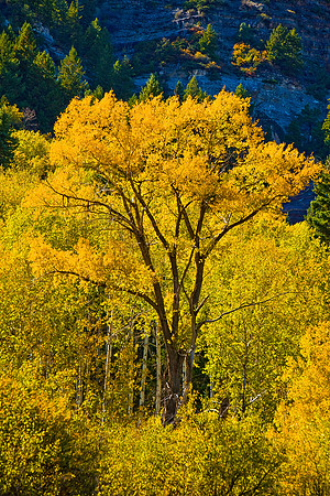 Wasatch Mountains, Utah