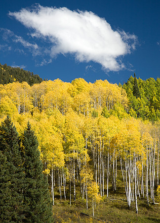 Wasatch Mountains, Utah