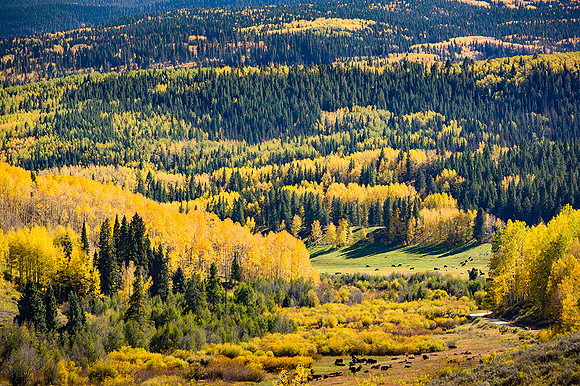 Wasatch Mountains, Utah