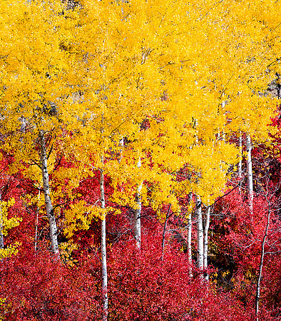 Wasatch Mountains, Utah