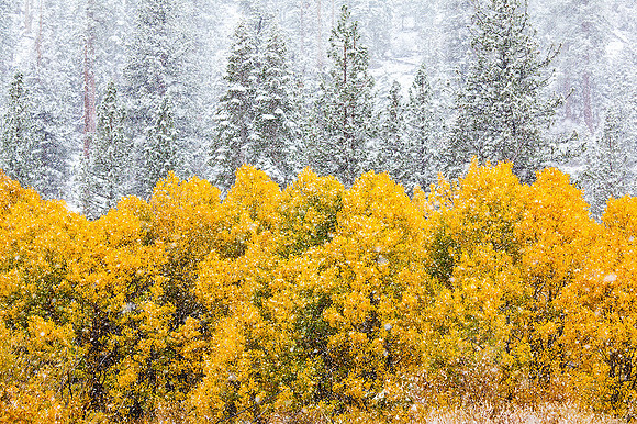 Wasatch Mountains, Utah