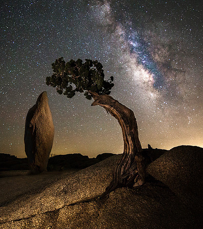 Joshua Tree National Park, California