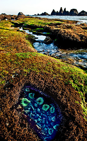 Seal Rock State Park, Oregon