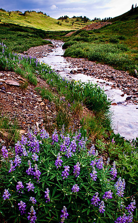 Paradise Valley, Colorado