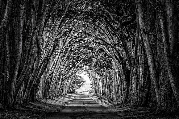 Point Reyes National Seashore, California