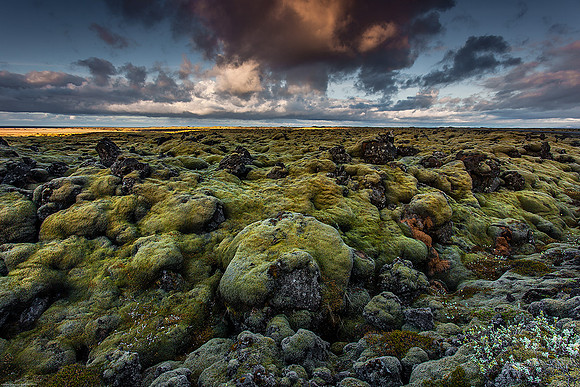 Mossy Lava Rocks, Iceland