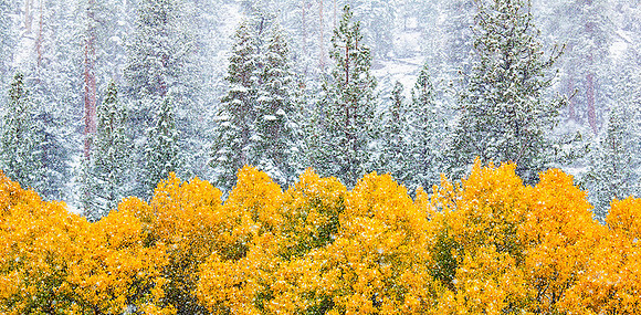Sierra Nevada, California