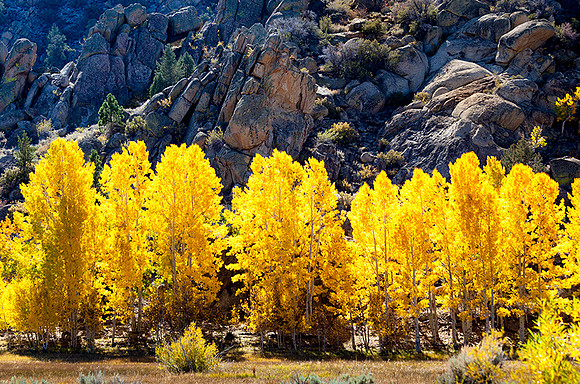 Eastern Sierras, California