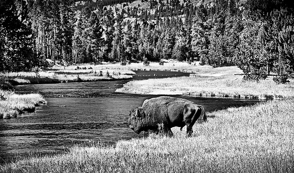 Firehole River, Yellowstone National Park, Wyoming