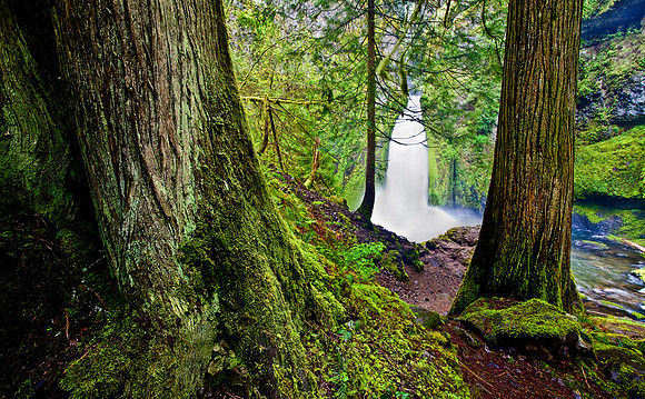 Wahclella Falls, Oregon