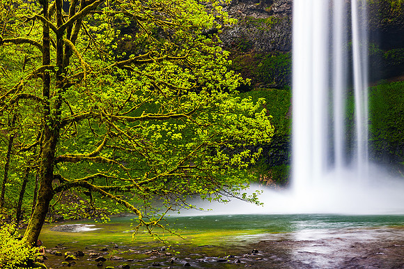 Silver Falls, Oregon