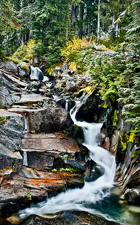 Mount Rainier National Park, Washington