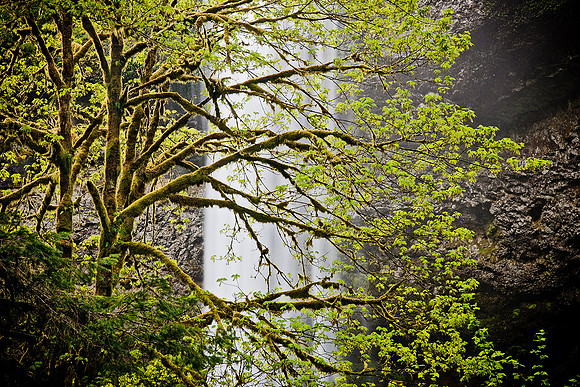 Silver Falls State Park, Oregon