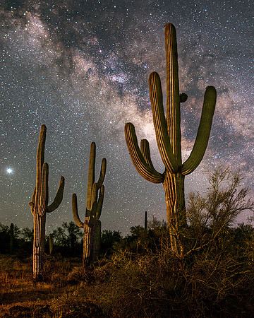 Organ Pipe National Monument, Arizona