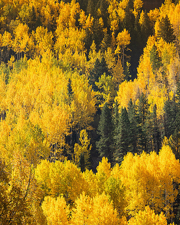 Kebler Pass, Colorado