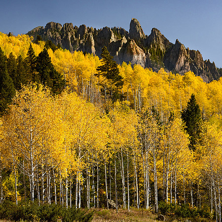 Kebler Pass, Colorado