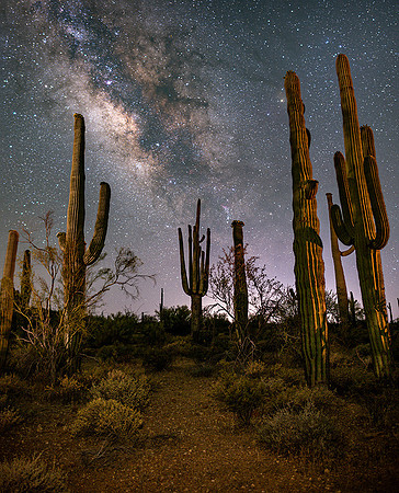 Organ Pipe National Monument, Arizona