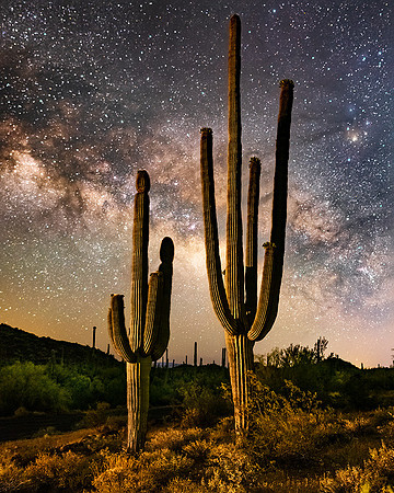 Organ Pipe National Monument, Arizona