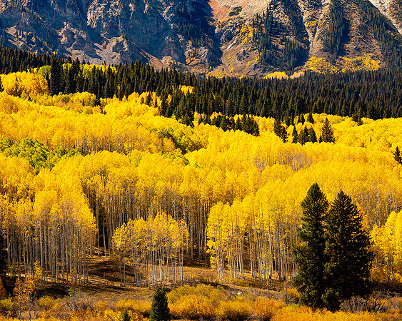 Kebler Pass, Colorado