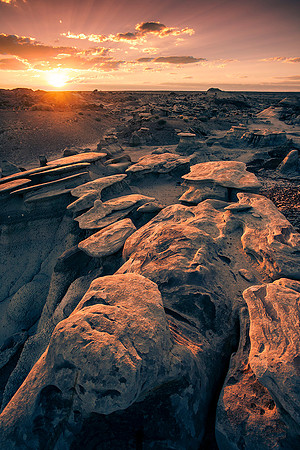 Bisti, New Mexico